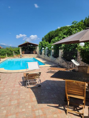 Gallo - La Cantina del contadino Rende